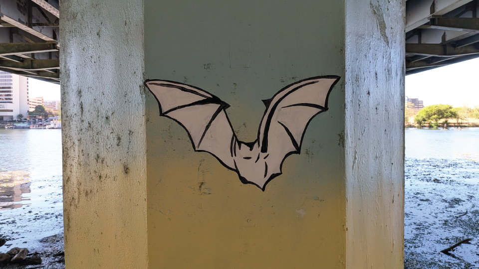 Austin, TX Bat Bridge, Congress Avenue Bridge Creative Graffiti Piece